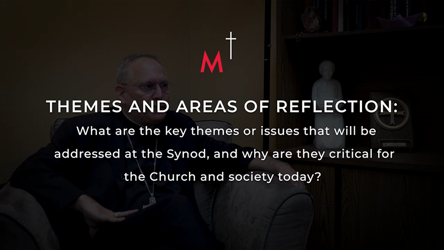 Insights from Bishop Alain Faubert: Themes and areas of reflection