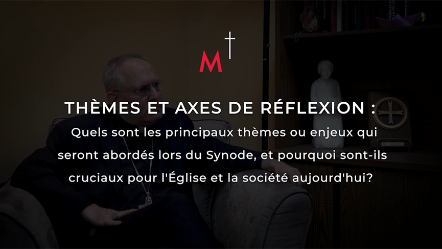 Réflexions de Mgr Alain Faubert : Thèmes et axes de réflexion