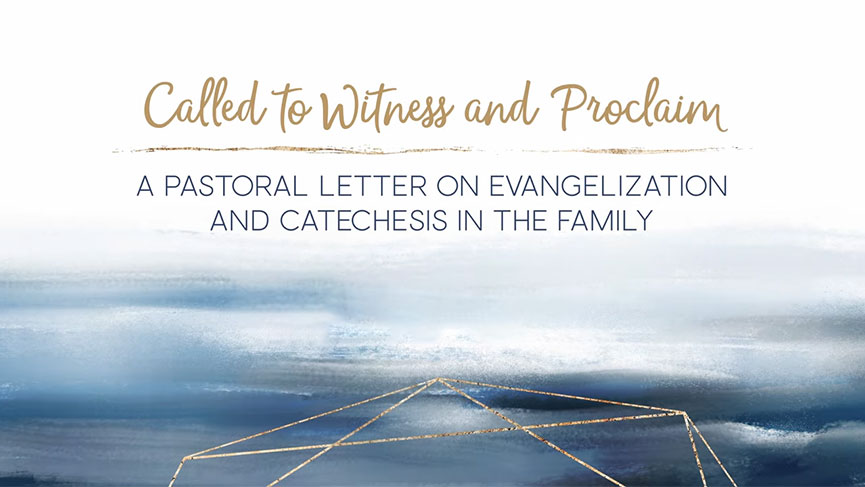 New video series from the CCCB-Called to Witness