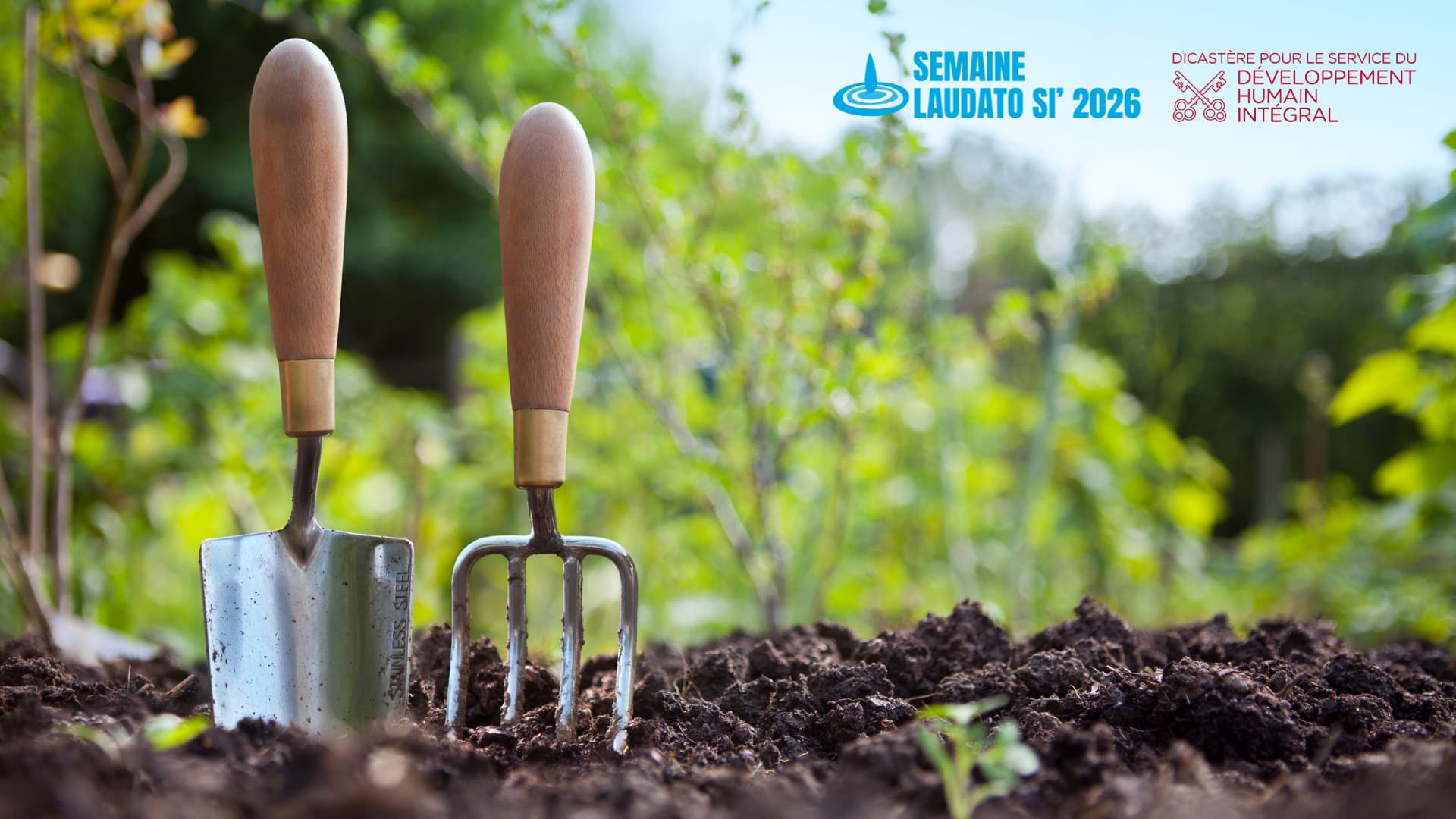 Semaine Laudato Si' 2026 : une invitation à transformer l'espérance en action