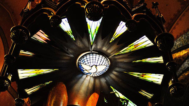 Photo : Glenn Clemente Saint Patrick Basilica