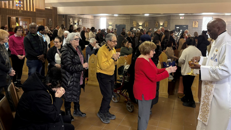 World Day of the Sick 2026: Reflections on Love, Suffering, and Eternal Life