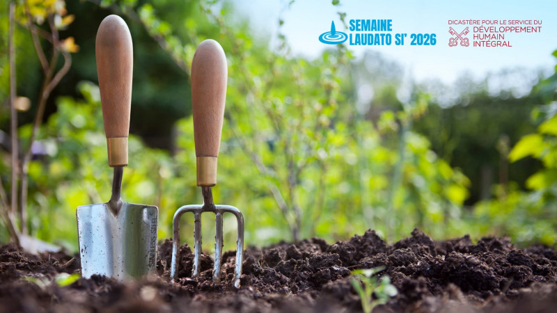 Semaine Laudato Si' 2026 : une invitation à transformer l'espérance en action